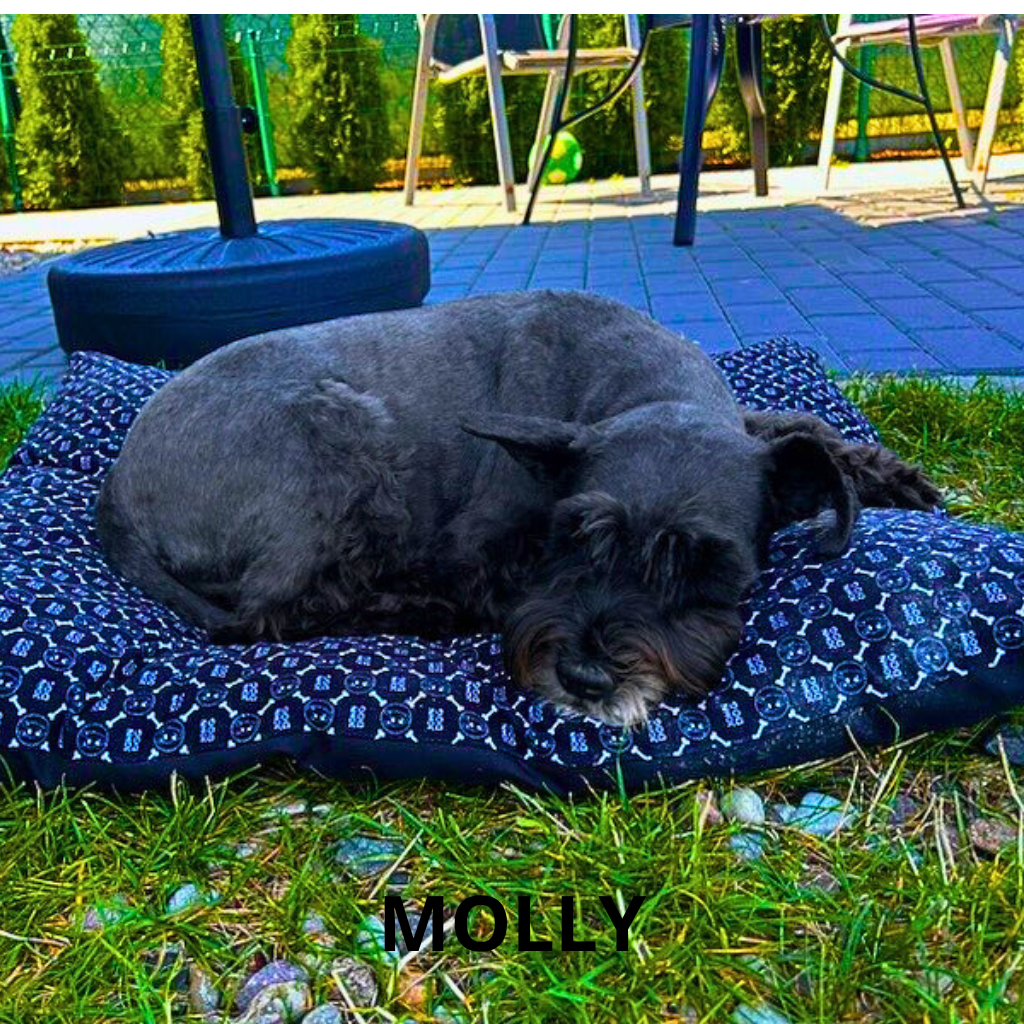 Molly