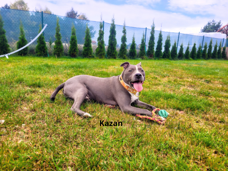 Kazan