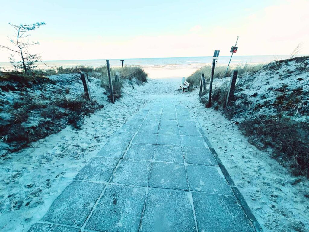 Spacer z psem na plaże. Leśna ścieżka wśród sosen prowadząca na piaszczystą plażę – magiczne połączenie lasu i morza w Patkachatka