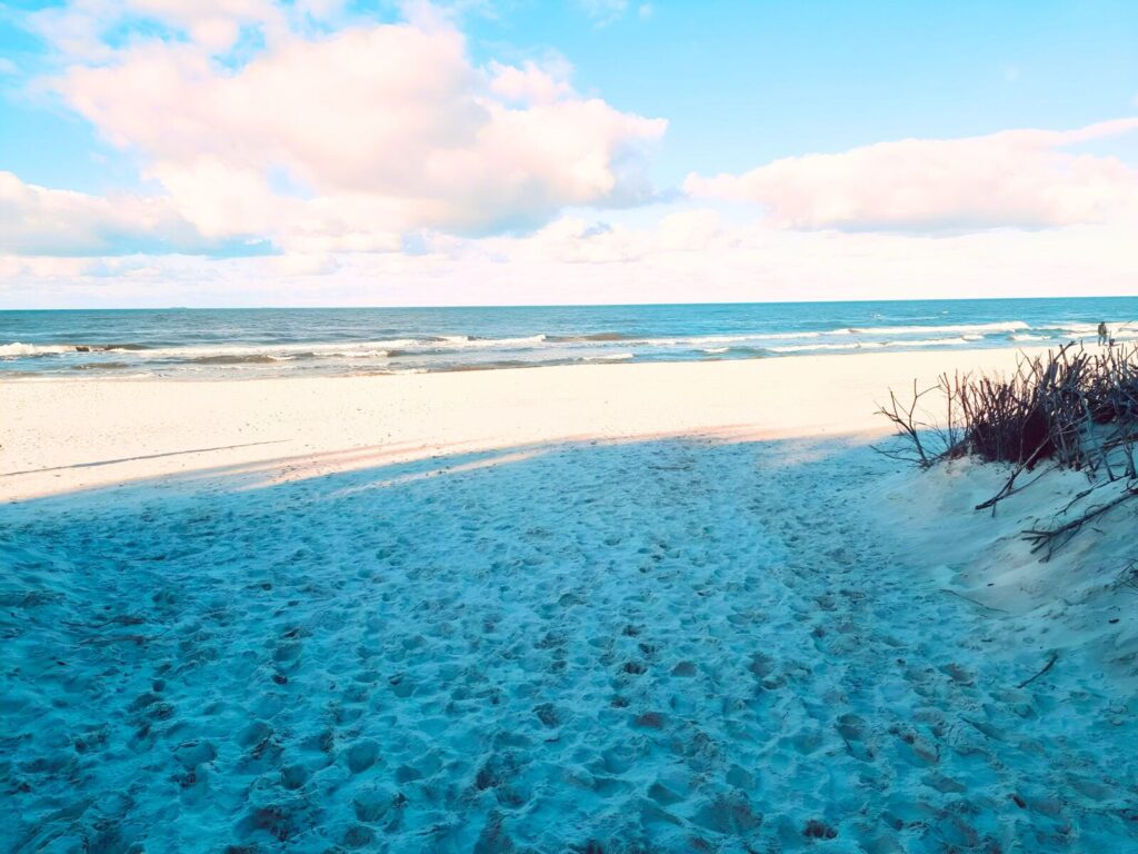 Plaza dla psów. Spokojna plaża z lazurową wodą i złocistym piaskiem – idealne miejsce na relaks nad morzem