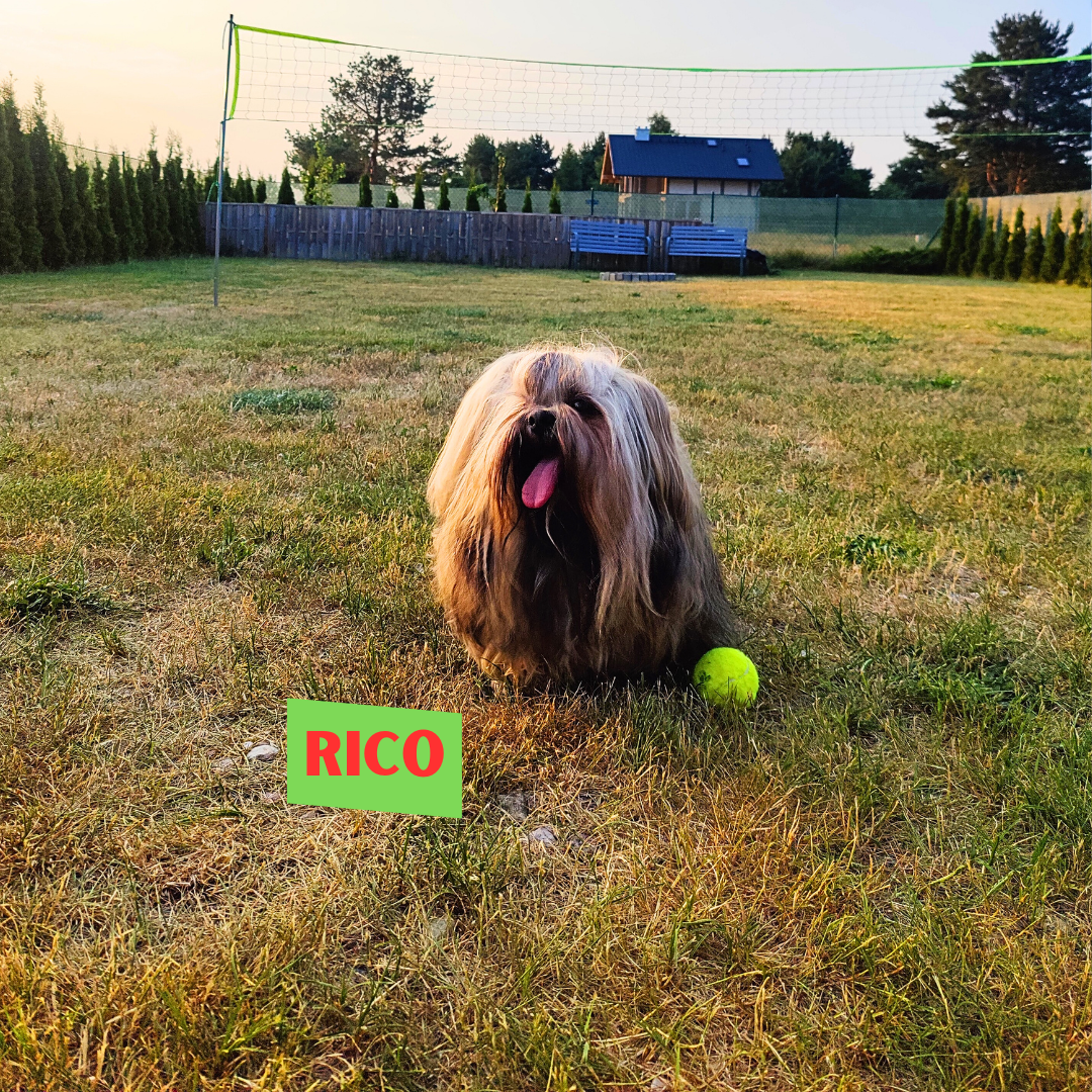 Rico